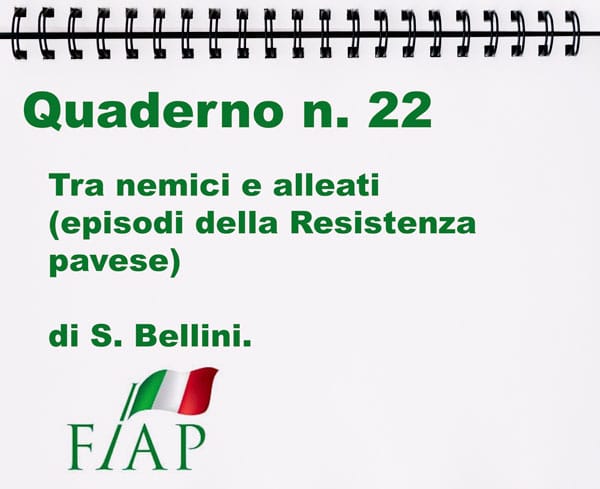 TRA NEMICI E ALLEATI